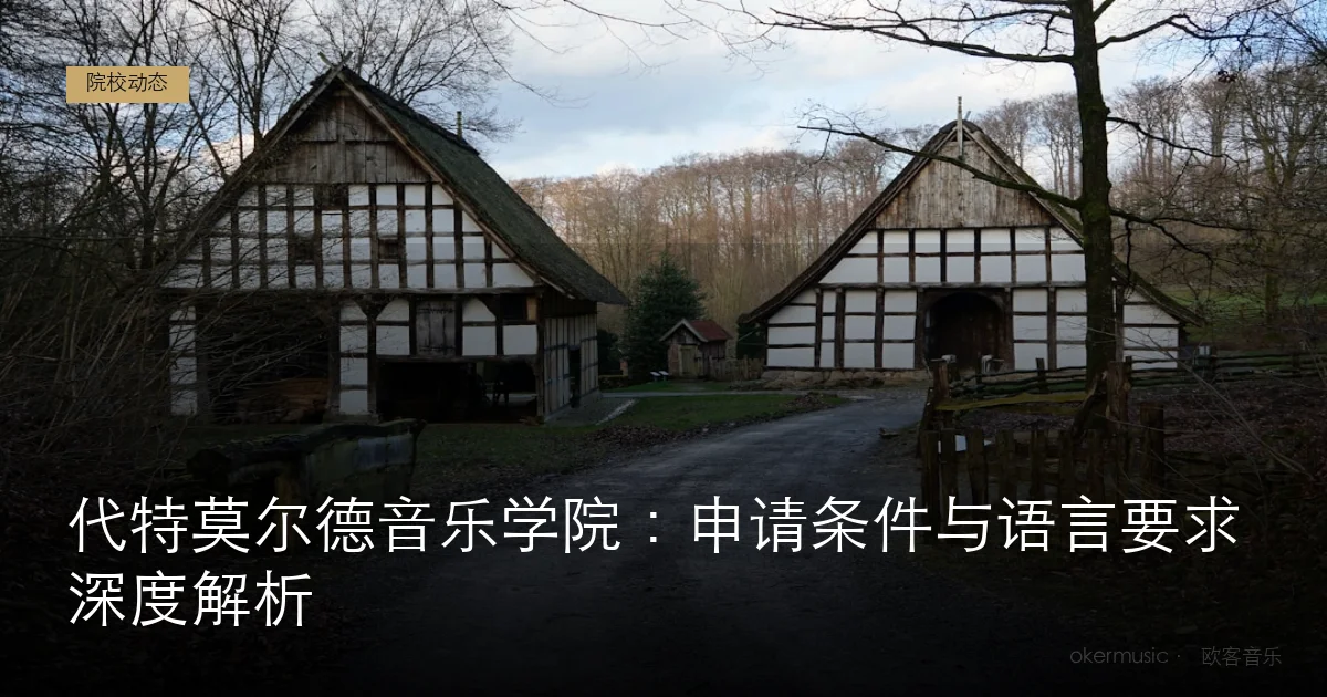 代特莫尔德音乐学院：申请条件与语言要求深度解析