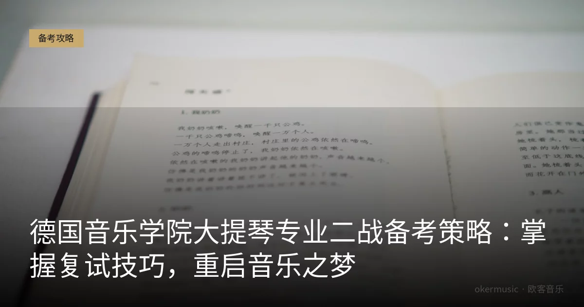 德国音乐学院大提琴专业二战备考策略：掌握复试技巧，重启音乐之梦